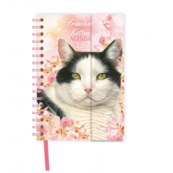 Agenda Franciens Katten...