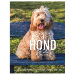 Hond&Co agenda 2026