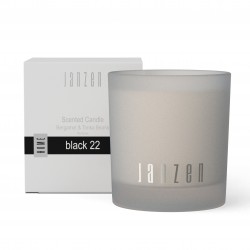 Janzen Collectie - Black 22