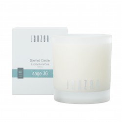 Janzen Collectie - Sage 36